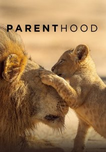 Родительство, Сезон 1